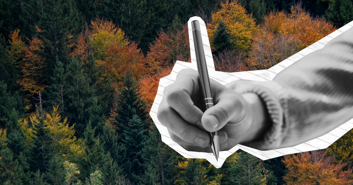 roger gabriel on connecting with nature